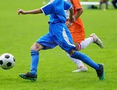 杨幂团队发,布声明驳斥,谣言,好博体育,好博体育官网,好博体育官方,好博体育下载