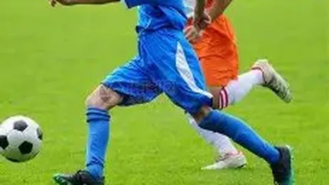 杨幂团队发布声明驳斥谣言：恳请结束侵权动作