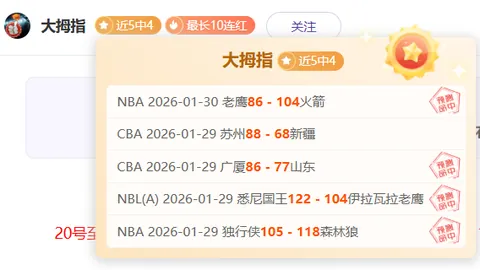 NBA掘金对阵火箭数据解析：专家推荐及质合分析